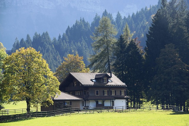 Free House Hunting Lodge photo and picture