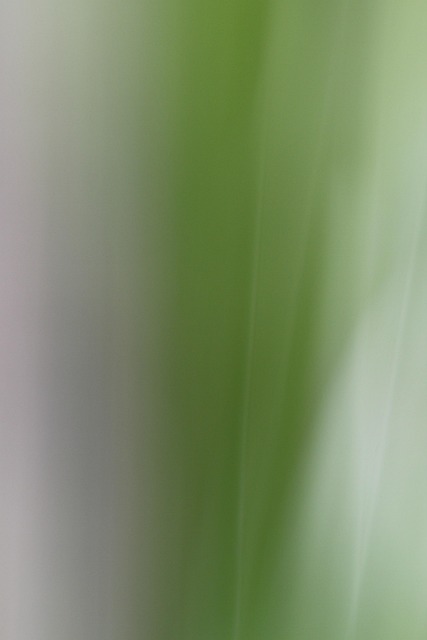 Free Background Mood photo and picture