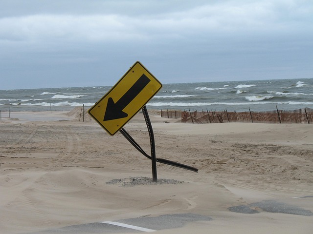 Free Sign Beach photo and picture