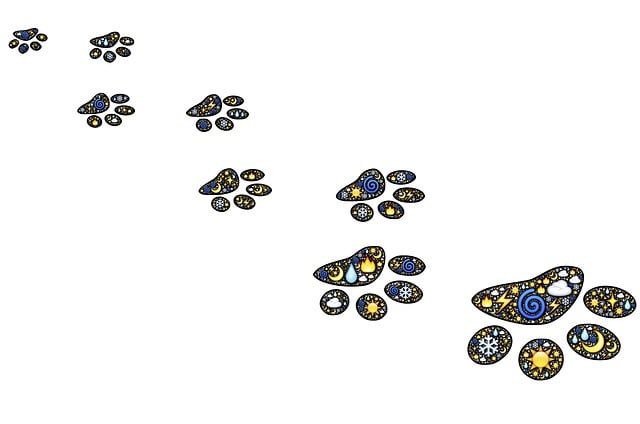Free footprints path prints illustration