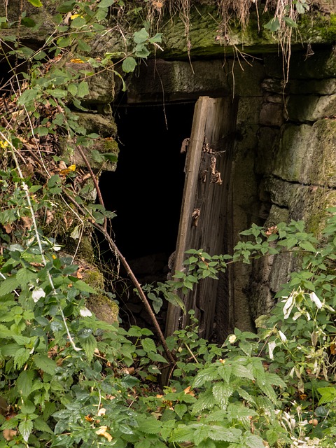 Free Ancient Doorway Overgrown photo and picture