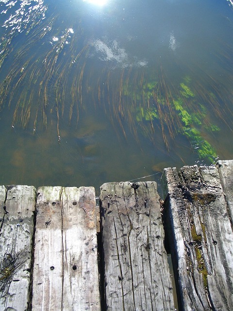 Free Bridge Water photo and picture