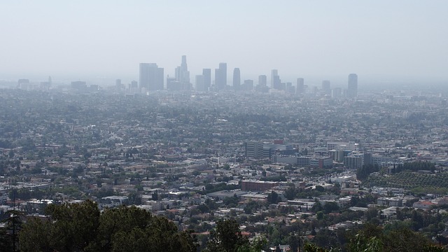 Free Los Angeles City photo and picture
