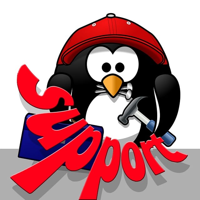 Download free HD stock image of Support Penguin Free support penguin tool illustration