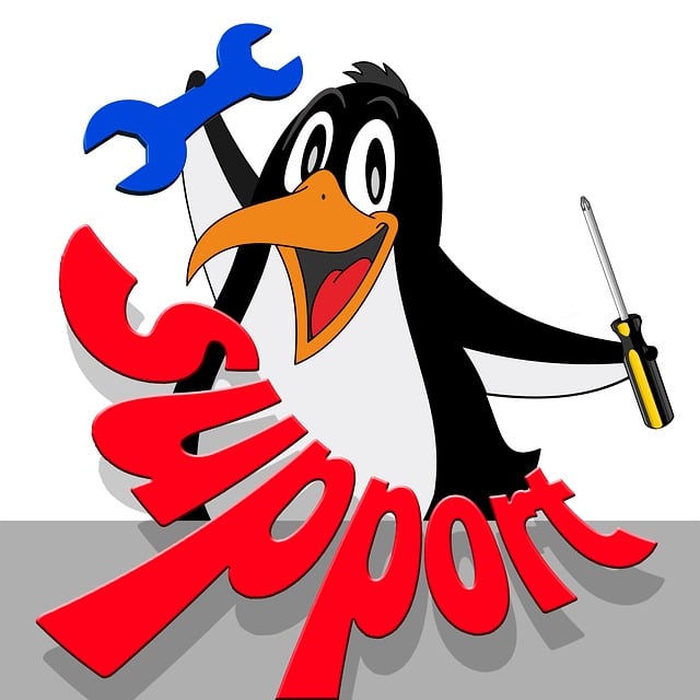 Free support penguin tool illustration