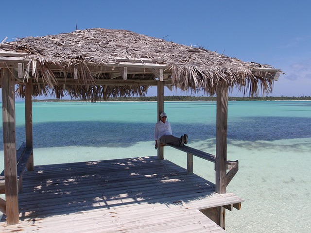 Free Serenity Tropical photo and picture
