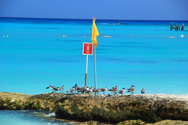 Free Beach Blue photo and picture