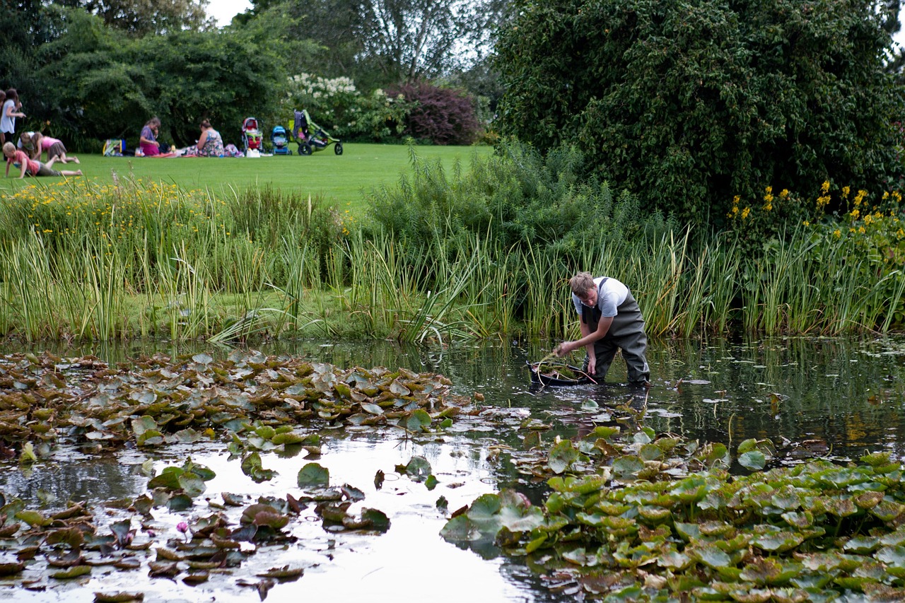 Pond Clearing Man Waders Free photo on Pixabay Pixabay