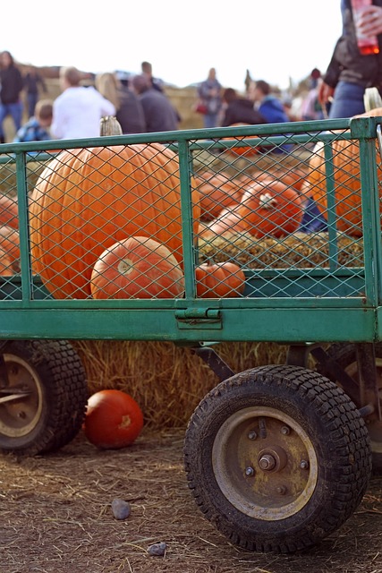 Pompoen, Oogst, Wagon, Halloween