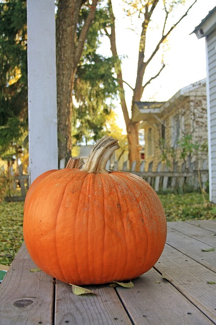 Pompoen, Halloween, Herfst, Portiek, Val