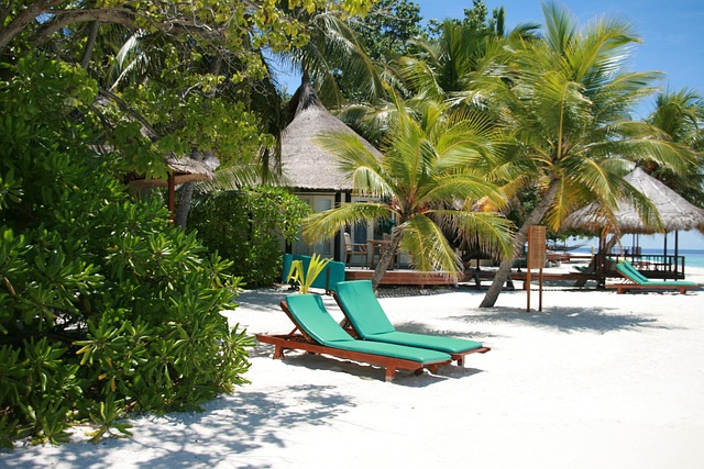 maldive islands, sunbed, vacation, summer, nature, beach