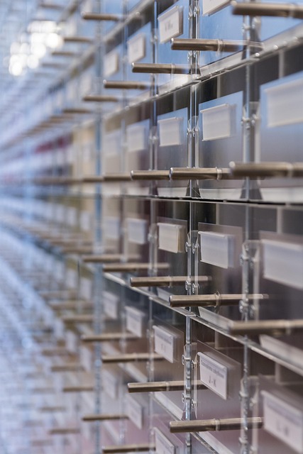 Bibliothek, Katalog, Bücher, Lesezimmer