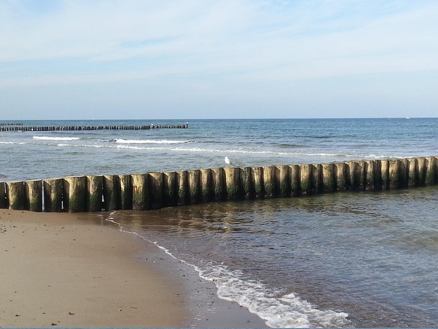 Det Baltiske Hav, Warnemünde, Måke, Vann