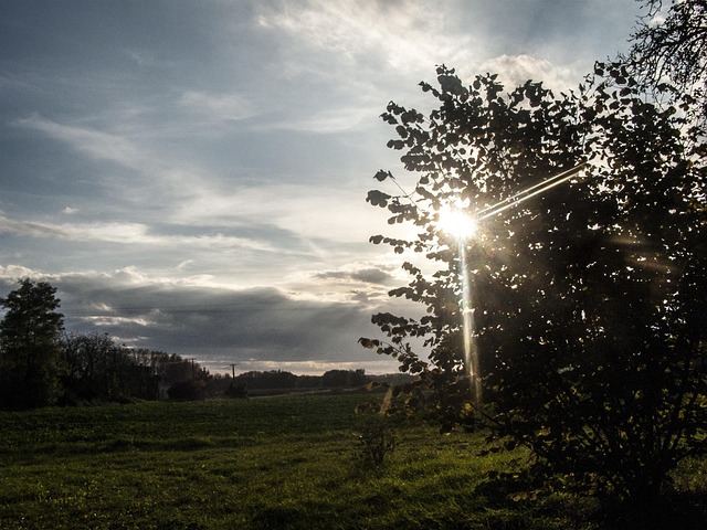 Free Sunlight Field photo and picture
