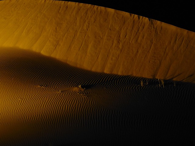 Wüste, Sand, Emirate, Abu Dhabi