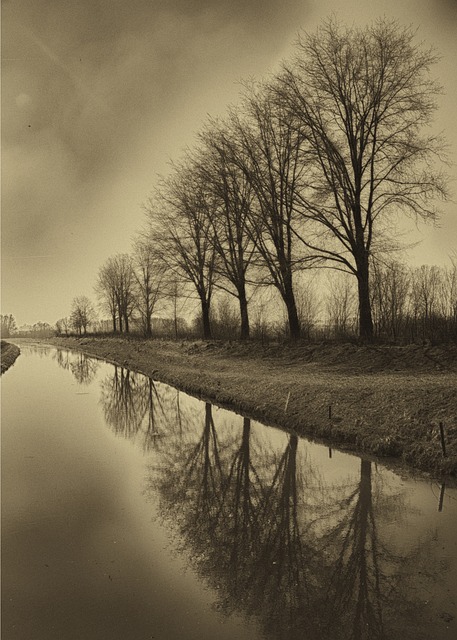 Free Channel Sepia photo and picture