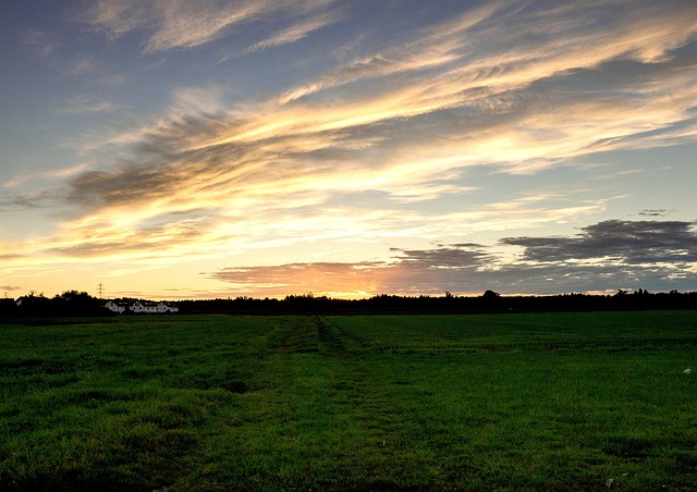 Free Sunset Field photo and picture