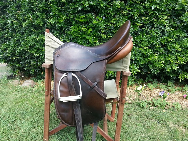 Free Horse Saddle photo and picture