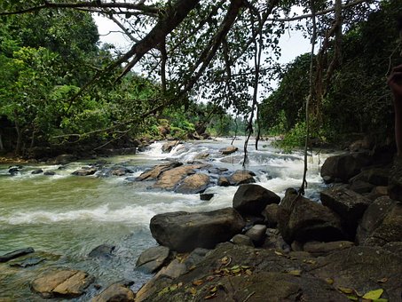 Wasser, Bachlauf, Natur, Fluss, Draußen