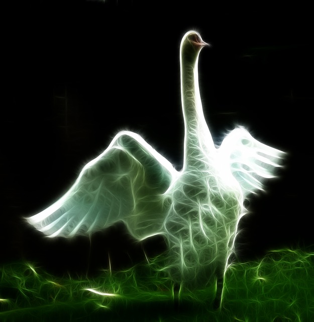 Free swan image editing image editing programs illustration