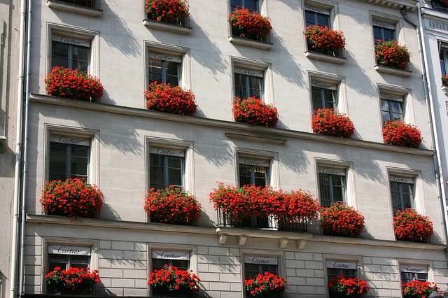 Fachada Edificio Cajas De Flores - Foto gratis en Pixabay - Pixabay