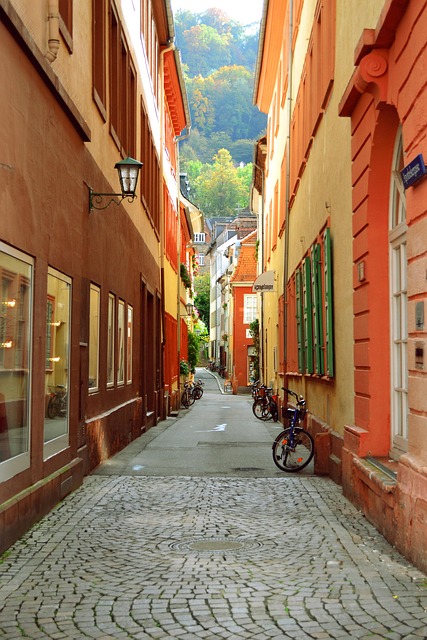 Free Heidelberg City photo and picture