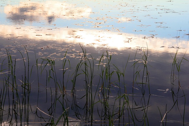 Free Lake Water photo and picture