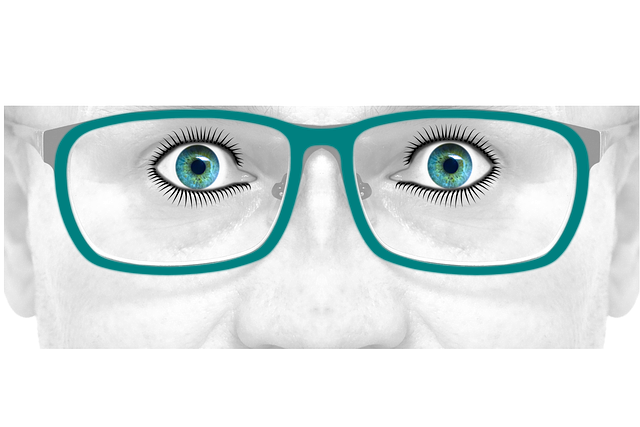 Free glasses eyes see illustration
