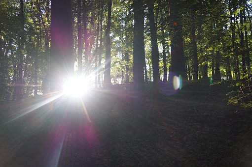 Sol, Solstråler, Lysskjær, Skinne, Natur