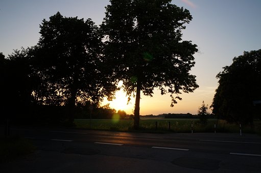 Landskap, Trær, Natur, Vei, Asfalt