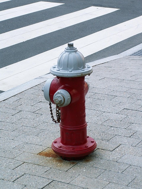 Free Hydrant Fire Fighters photo and picture