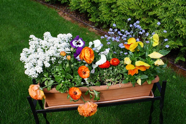 Blumen, Garten, Bunt, Natur, Blüten