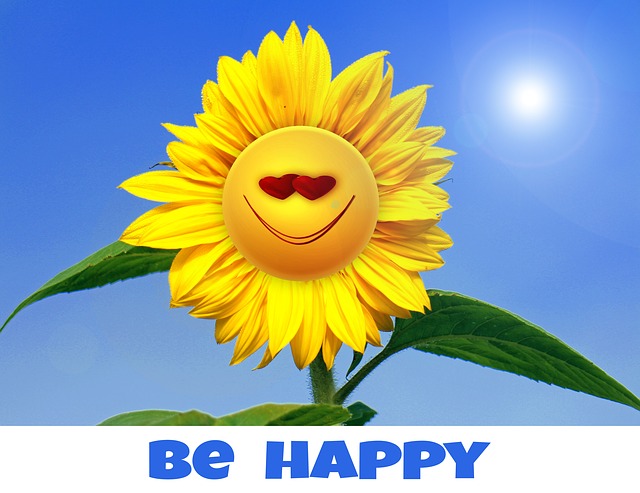 Free sunflower flower yellow illustration