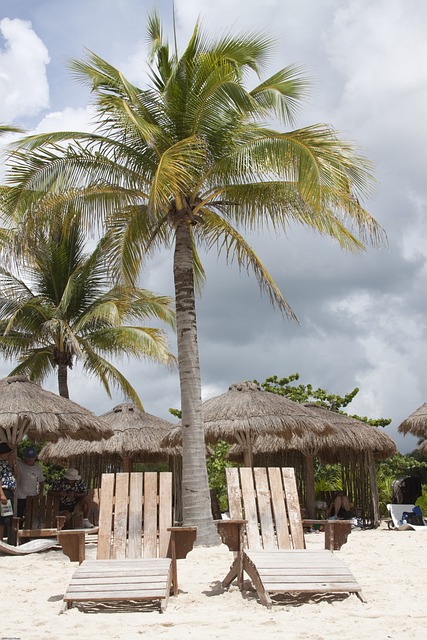 Free Beach Chairs photo and picture