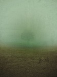 mist, fog, blind