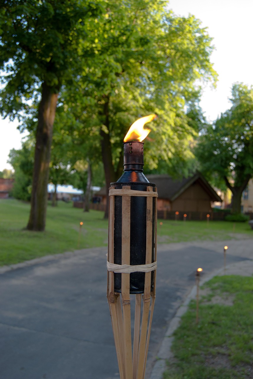 Torch Fire Free photo on Pixabay Pixabay