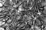 texture, structure, background
