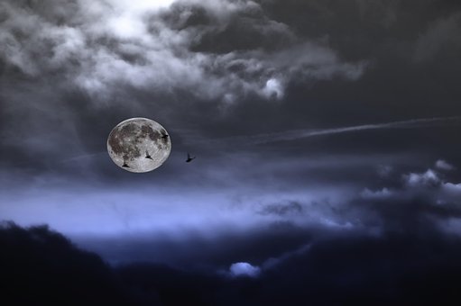 Lua Cheia, Noite, Pipisterelli, Luna