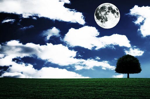 Lua Cheia, Panorama, Fantasia, Árvore