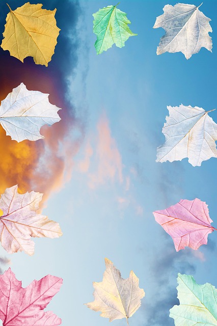Outono, Quadro, Céu