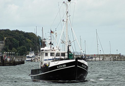 Free Ship Boat photo and picture