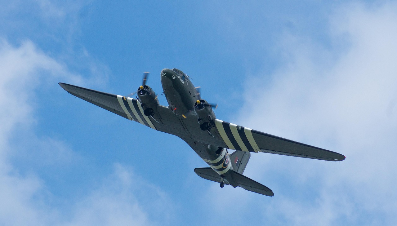 Dakota - free online jigsaw puzzle photo
