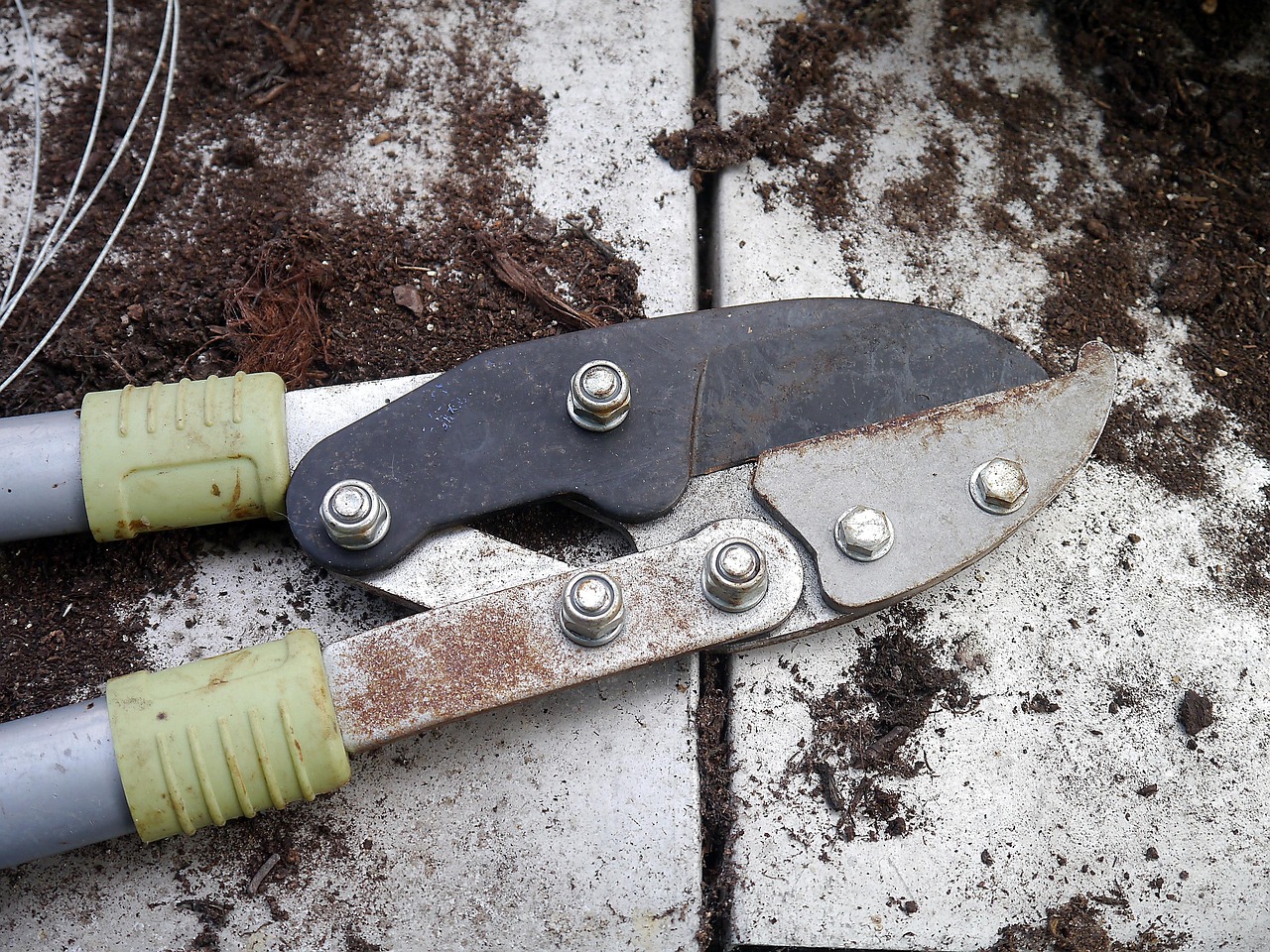 secateurs, tool, gardening, cutting, clippers, trimming, trimmer, pruner, equipment, pruning, cut, gray gardening, gray tools, pruning, pruning, pruning, pruning, pruning