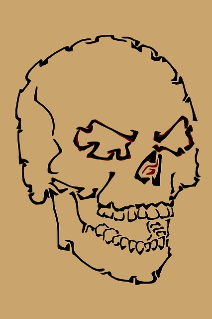 Free skull angry head illustration