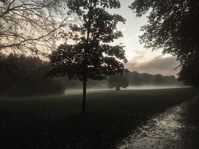 Wroclaw, Tåge, Landskab, Mysterium, Regn