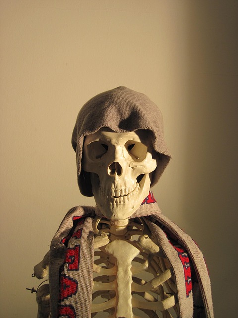 Free Skeleton Cap photo and picture