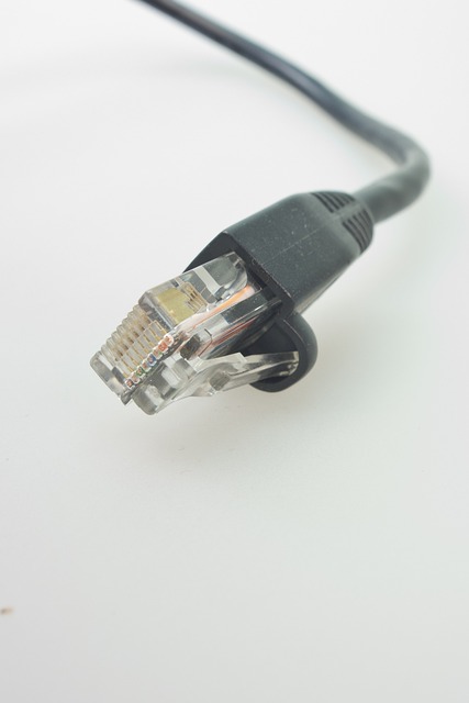 Netzwerkkabel, Rj, Stecker, Patchkabel