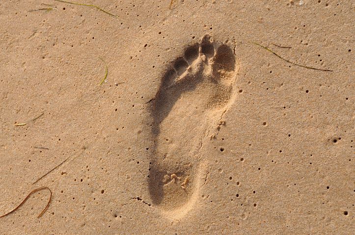 100+ kostenlose Fußspuren Im Sand und Fußspuren-Bilder - Pixabay