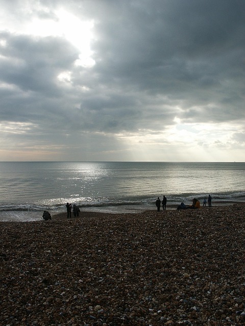 Free Sea Summer photo and picture