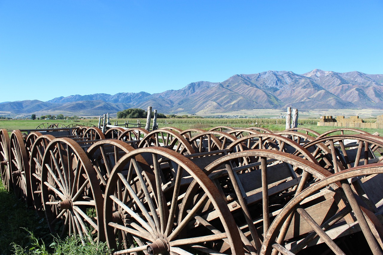 Wagon Wheel - free online jigsaw puzzle photo